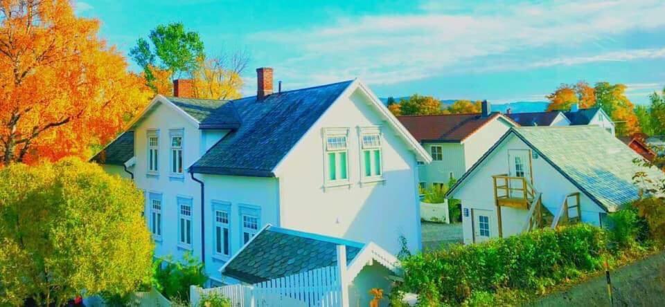 Bo I Historisk Bygning, Kort Vei Til Sentrum Apartment *
